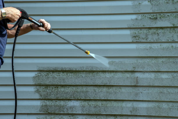 Trusted Dardanelle, AR Pressure Washing Services Experts