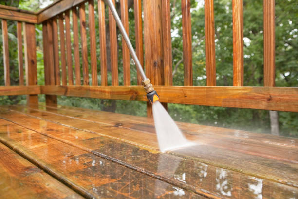 Best Driveway Pressure Washing  in Ddanelle, AR