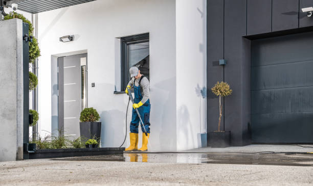 Best Roof Washing  in Ddanelle, AR